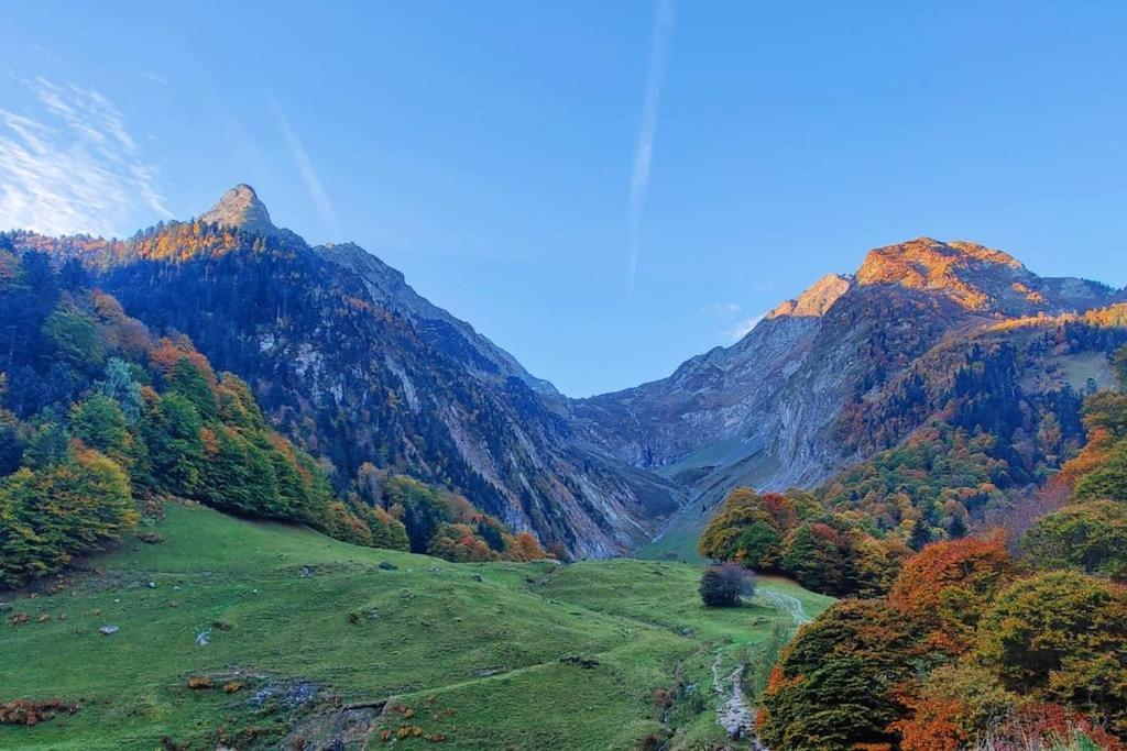 Logement 6 Pers Au Coeur Des Montagnes Pyreneennes Linge De Maison Et Papier Toilette Non Fournis Boutx Luaran gambar