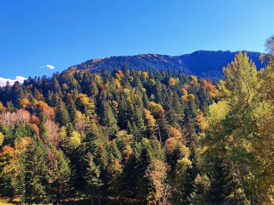 Logement 6 Pers Au Coeur Des Montagnes Pyreneennes Linge De Maison Et Papier Toilette Non Fournis Boutx Luaran gambar