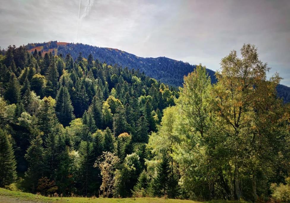 Logement 6 Pers Au Coeur Des Montagnes Pyreneennes Linge De Maison Et Papier Toilette Non Fournis Boutx Luaran gambar